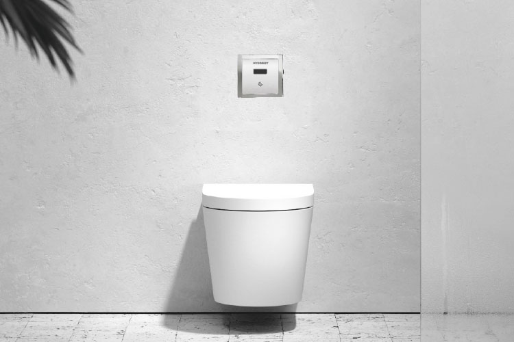 Urinal-and-WC-Flusher